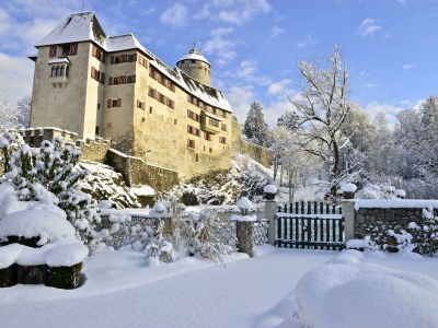 Apartment Das Haus Steger zu Stein - Outdoor photo 30
