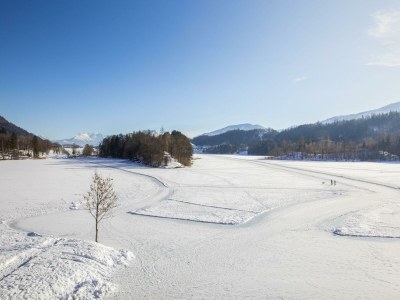 Apartment Das Haus Steger zu Stein - Outdoor photo 31