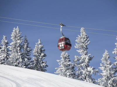 Apartment Das Haus Steger zu Stein - Outdoor photo 33
