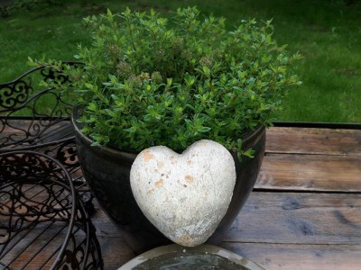 Apartment Ferienwohnung mit Sauna - Outdoor photo 35