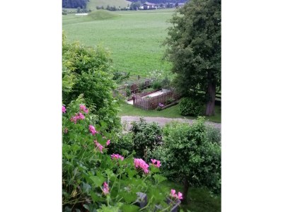 Apartment Ferienwohnung mit Sauna - Outdoor photo 39