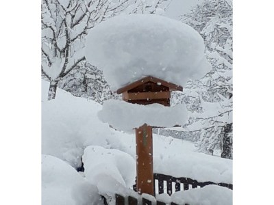 Apartment Ferienwohnung Gruberhof - Outdoor photo 15