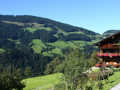 Apartment Ferienwohnung Gruberhof - Outdoor photo 20
