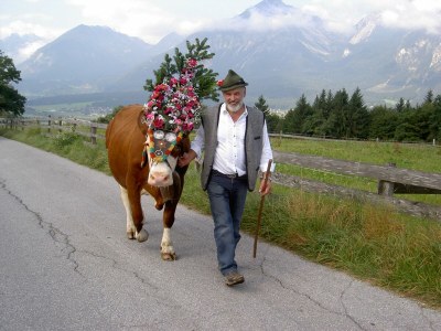 Apartment Ferienwohnung Gruberhof - Outdoor photo 29