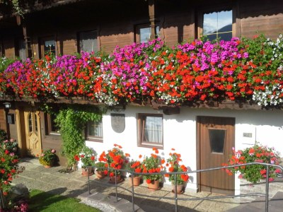Apartment Ferienwohnung Gruberhof - Outdoor photo 36