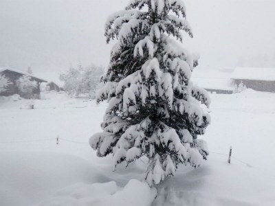 Apartment Ferienhaus Annelies - Outdoor photo 15