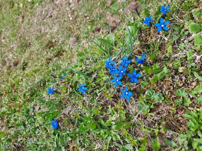 Apartment Ferienhaus Annelies - Outdoor photo 32