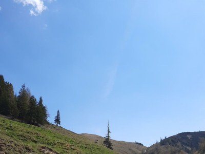 Apartment Ferienhaus Annelies - Outdoor photo 34