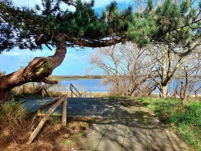 Holiday house Boutique Resort Schaardijk 4 persons - Environment photo 29