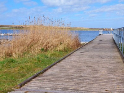 Holiday house Boutique Resort Schaardijk 4 persons - Environment photo 31