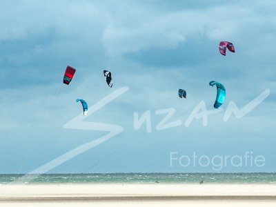 Holiday house Vakantiewoning Zeezwaluw 54 - Environment photo 23