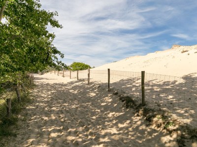 Holiday house Vakantiewoning Zeezwaluw 54 - Environment photo 26