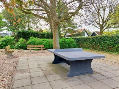 Holiday house Vakantiewoning Zeezwaluw 54 - Environment photo 27