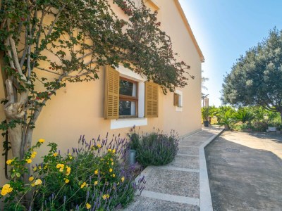 Holiday house Can Pilos - Outdoor photo 22