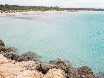 Villa Can Xesquet (Pleta Morell) - Environment photo 21