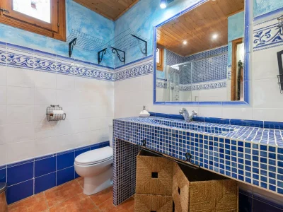 Finca Cas Mostatxet (Sencelles) - Features photo 38