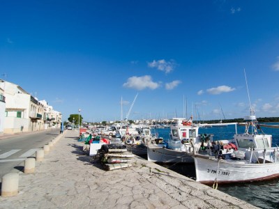 Holiday apartment Es Port - Environment photo 19