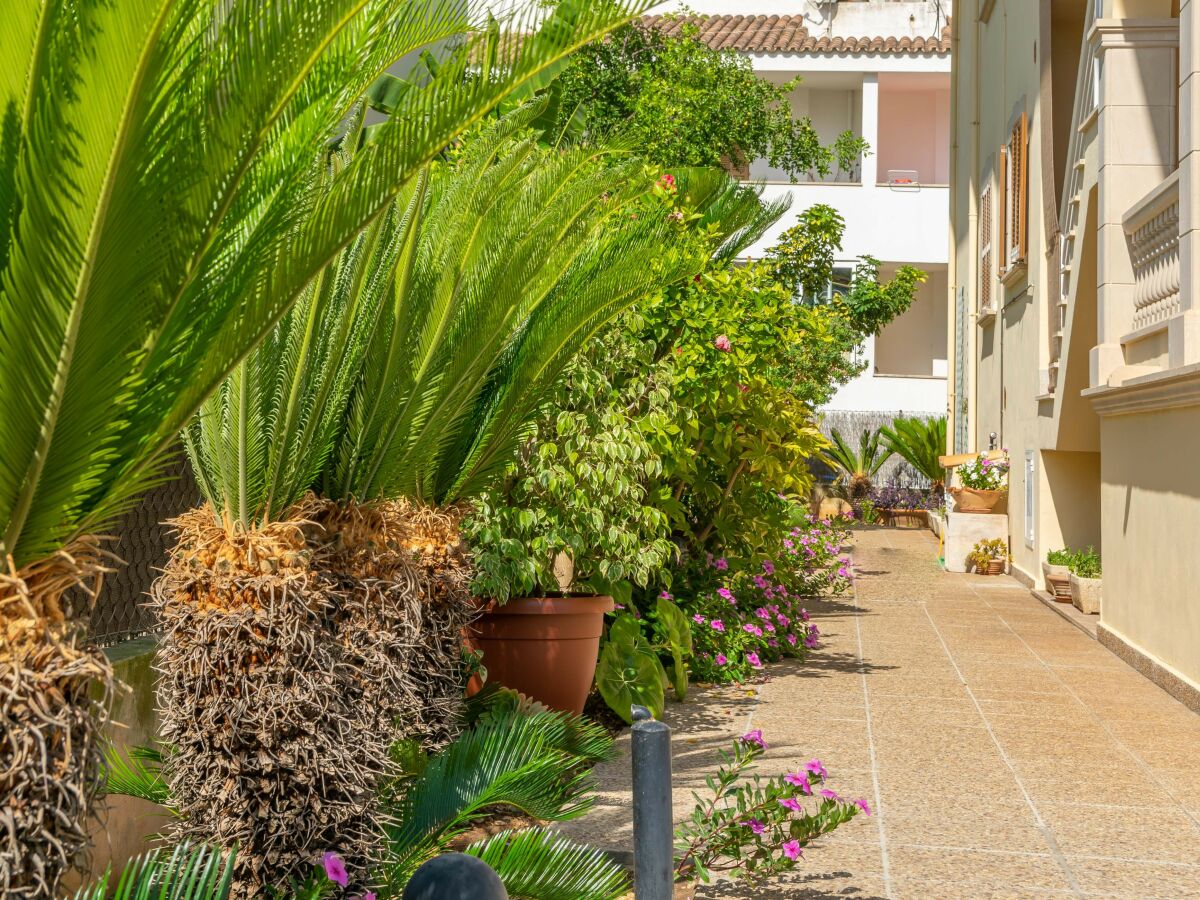 Holiday apartment Llepol - Outdoor photo 3