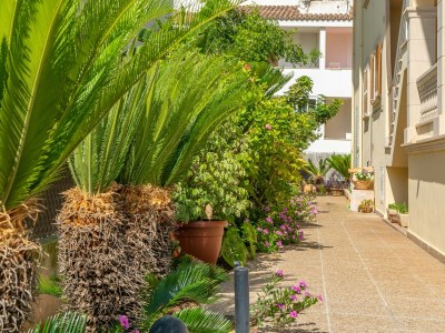 Holiday apartment Llepol - Outdoor photo 3