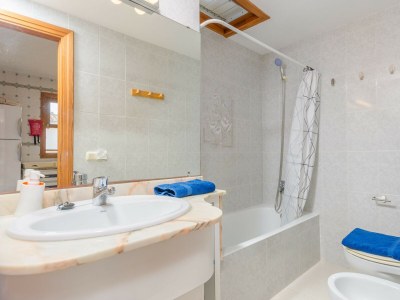 Holiday apartment Llepol - Features photo 28