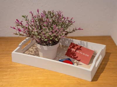 Holiday apartment Westernberg - Features photo 10