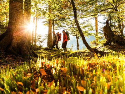 Holiday apartment Westernberg - Environment photo 23