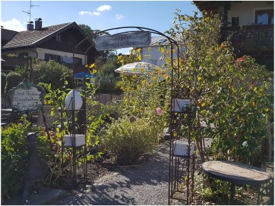 Holiday apartment Westernberg - Environment photo 26