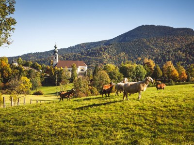 Holiday apartment Westernberg - Environment photo 27