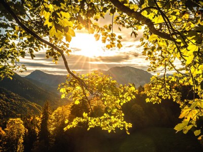 Holiday apartment Westernberg - Environment photo 28