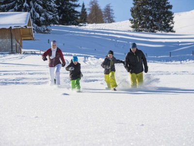 Holiday apartment Westernberg - Environment photo 38