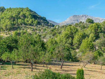 Holiday apartment Sa Tanca De Sa Nina - Outdoor photo 4