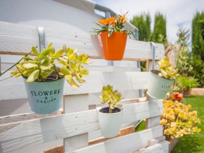 Holiday house Ses Canyes - Outdoor photo 14