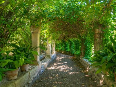 Holiday apartment SON VIVOT - Nº5 DÚPLEX APTO - ADULTS ONLY - Outdoor photo 20