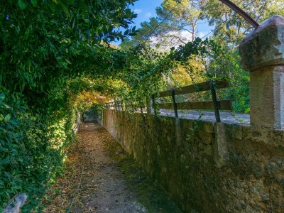 Holiday apartment SON VIVOT - Nº5 DÚPLEX APTO - ADULTS ONLY - Outdoor photo 21