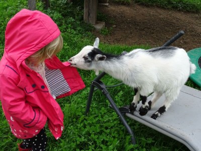 Apartment Hohe Salve/2 Schlafräume/Bad, WC - Outdoor photo 11