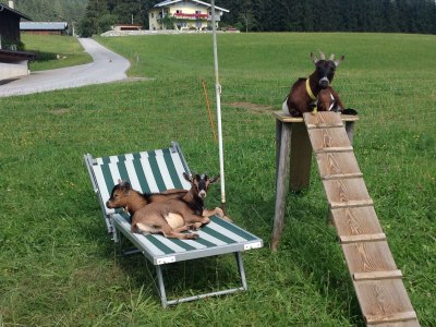 Apartment Hohe Salve/2 Schlafräume/Bad, WC - Outdoor photo 38