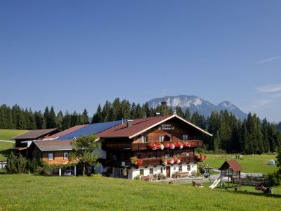 Apartment Alpenrose/2 Schlafräume/Dusche, WC in Hopfgarten im Brixental - Apartment