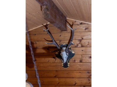 Apartment Hütte, Dusche, WC, 2 Schlafräume - Outdoor photo 39