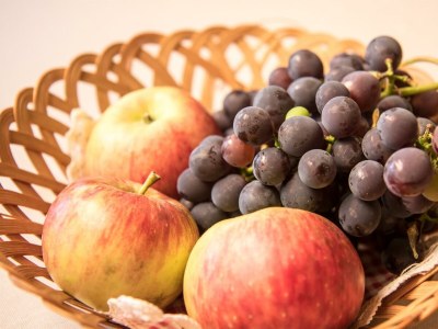 Apartment Hütte, Dusche, WC, 2 Schlafräume - Outdoor photo 63