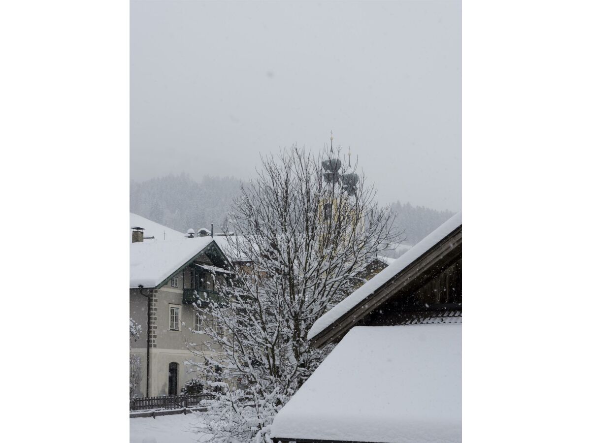 Apartment Adlerhorst