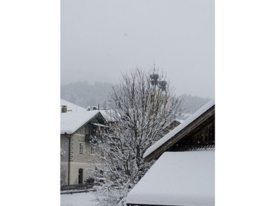 Apartment Adlerhorst in Hopfgarten im Brixental - Apartment