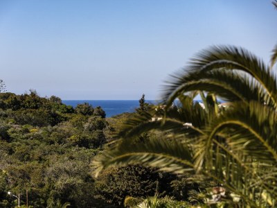 row house Casa Alegre - Environment photo 37