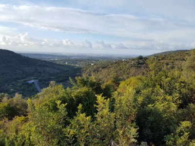 Villa Casa Canasta - Environment photo 41