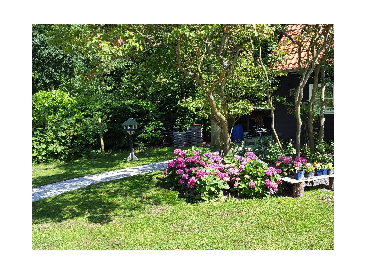 Apartment Domburgseweg 40 - Outdoor photo 3