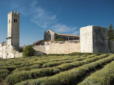 Villa Villa with pool and panoramic view - Environment photo 40