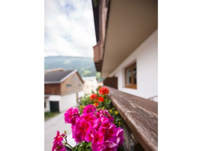 Apartment Appartement Angela - Features photo 21