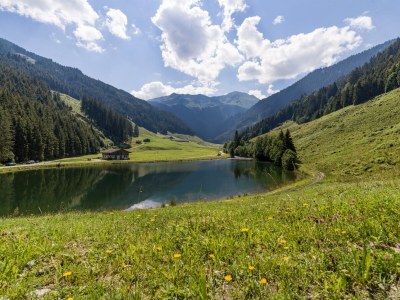 Apartment Chalet Ursteinhütte - Outdoor photo 5