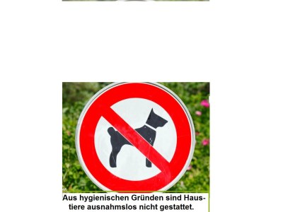 Apartment Chalet Ursteinhütte - Outdoor photo 12