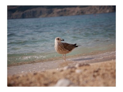 Holiday apartment Ferienwohnung (A2+2) mit Whirlpool im Freien - Environment photo 39