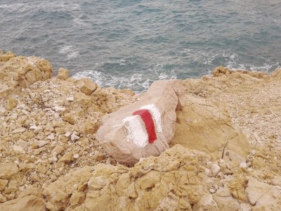 Holiday apartment Ferienwohnung (A2+2) mit Whirlpool im Freien - Environment photo 42